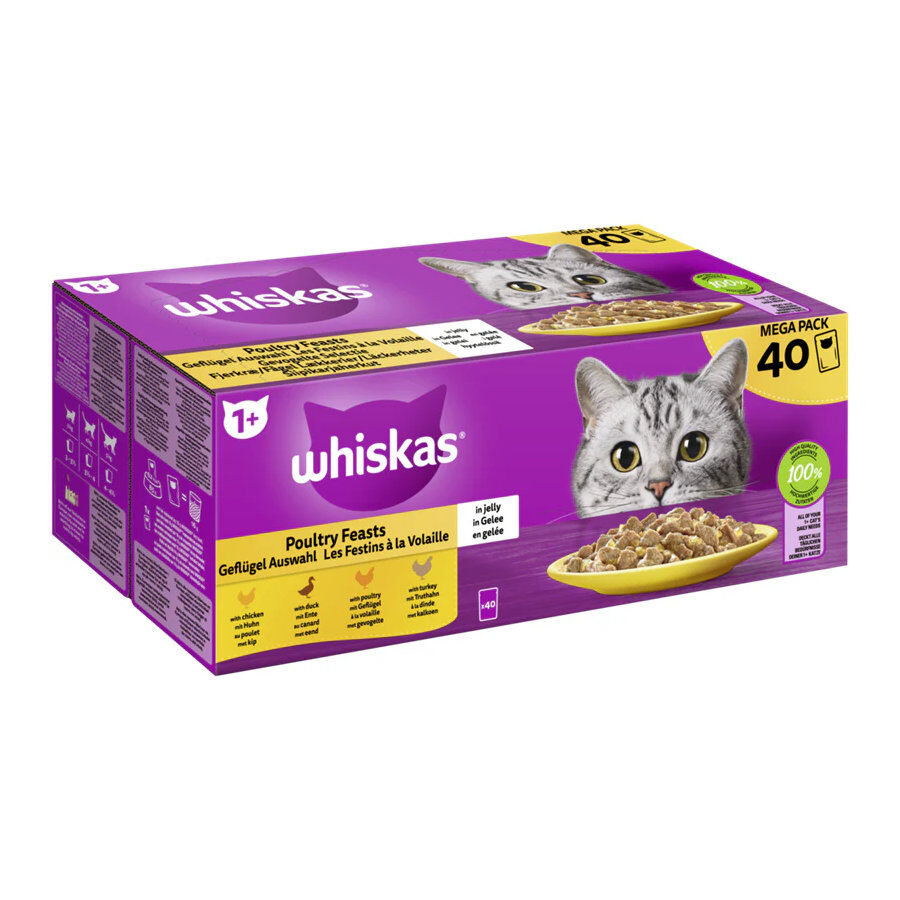 40 saquetas x 85 g Whiskas Alimento H&uacute;mido de aves de capoeira em gelatina para gatos, , large Imagem n&uacute;mero 1