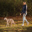 Non-stop Dogwear Trela Turquesa e Carvalho para c&atilde;es, , large Indicador imagem n&uacute;mero 2
