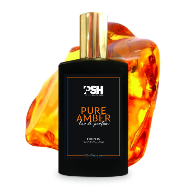 Perfume PSH Pure Amber para cães e gatos,  Imagem número 1 Perfume PSH Pure Amber para cães e gatos, , large Imagem número 1