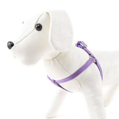 Nayeco Basic Peitoral Lilás para cães 