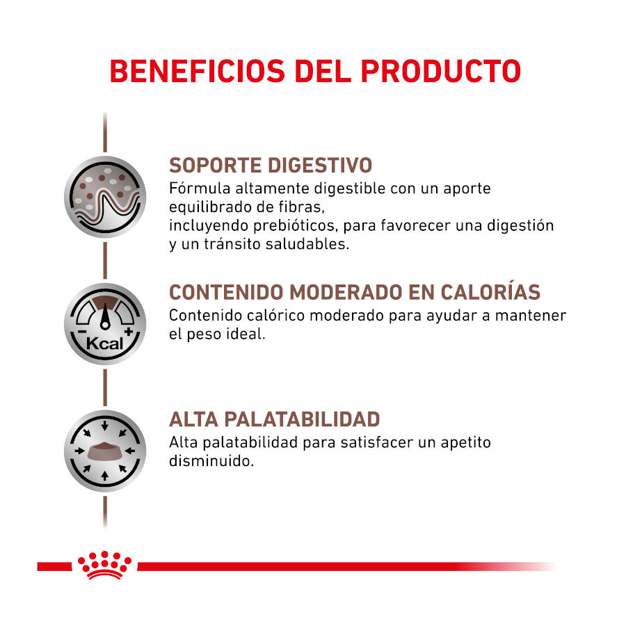 4 kg Royal Canin Veterinary Gastrointestinal Moderate Calorie ra&ccedil;&atilde;o para gatos, , large Imagem n&uacute;mero 2