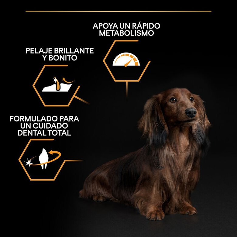 3 kg Pro Plan Adult Small e Mini Frango ração para cães,  Imagem número 3 3 kg Pro Plan Adult Small e Mini Frango ração para cães, , large Imagem número 3