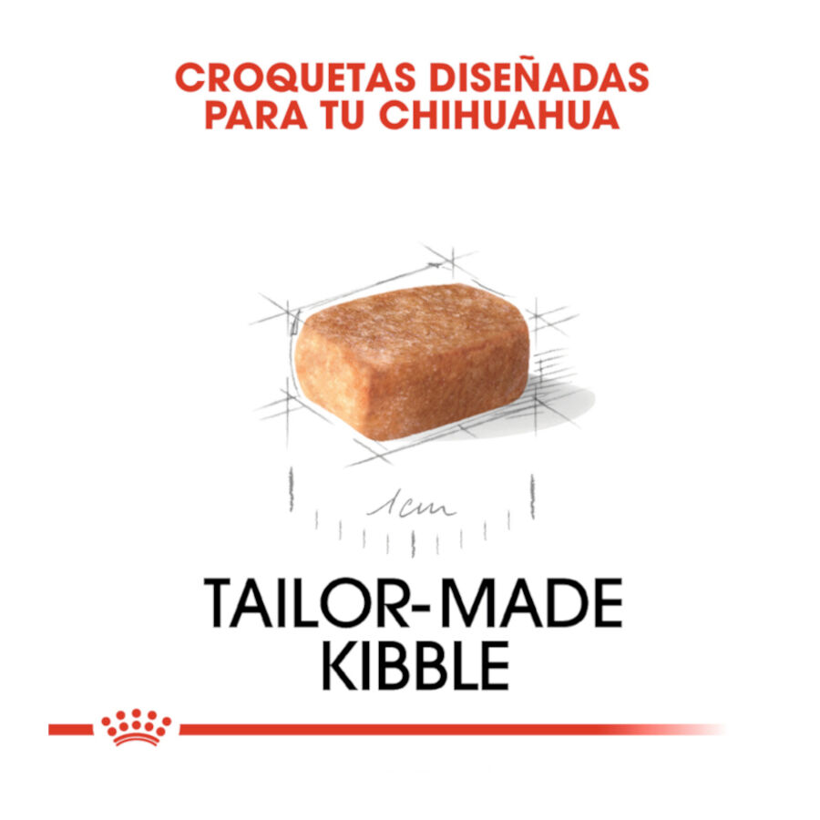 Royal Canin Puppy Chihuahua ra&ccedil;&atilde;o para c&atilde;es , , large Imagem n&uacute;mero 5