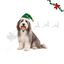 Wonder Christmas Gorro de Natal para c&atilde;es, , large Indicador imagem n&uacute;mero 1