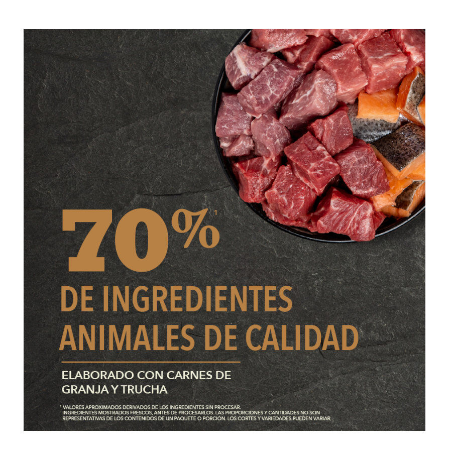11.4 kg Acana Ranchlands Carnes Vermelhas Ra&ccedil;&atilde;o para c&atilde;es, , large Imagem n&uacute;mero 4