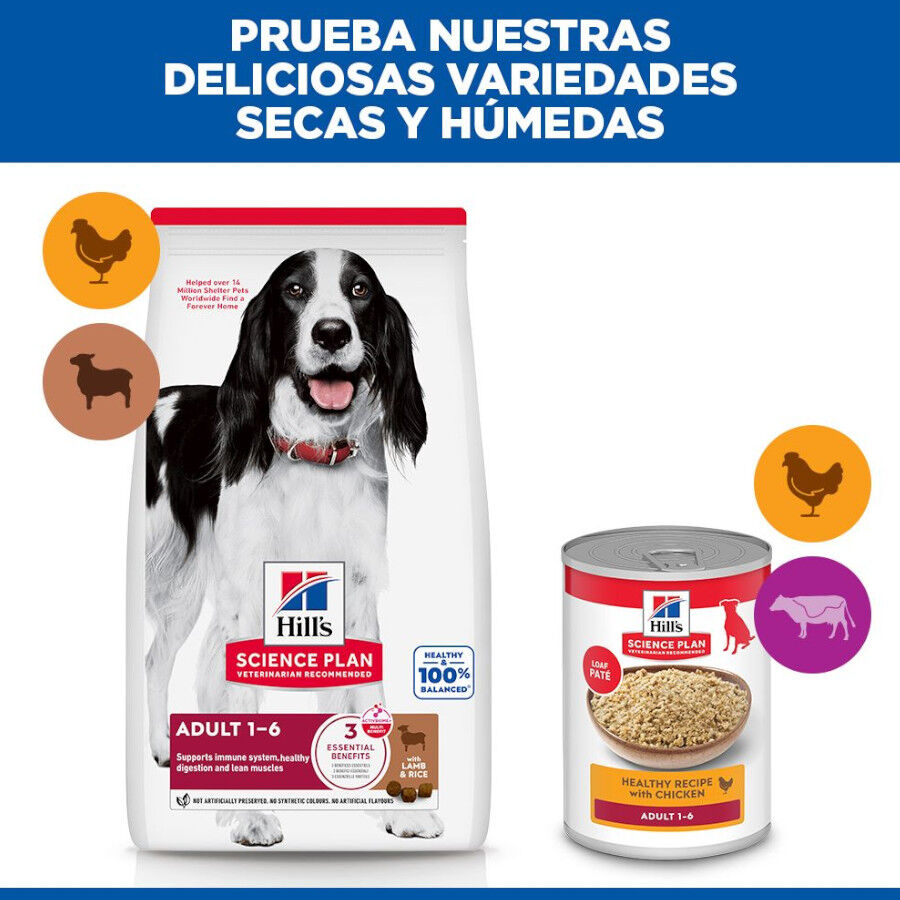 18 kg Hill's Science Plan Adult Medium Cordeiro e Arroz ra&ccedil;&atilde;o para c&atilde;es, , large Imagem n&uacute;mero 9