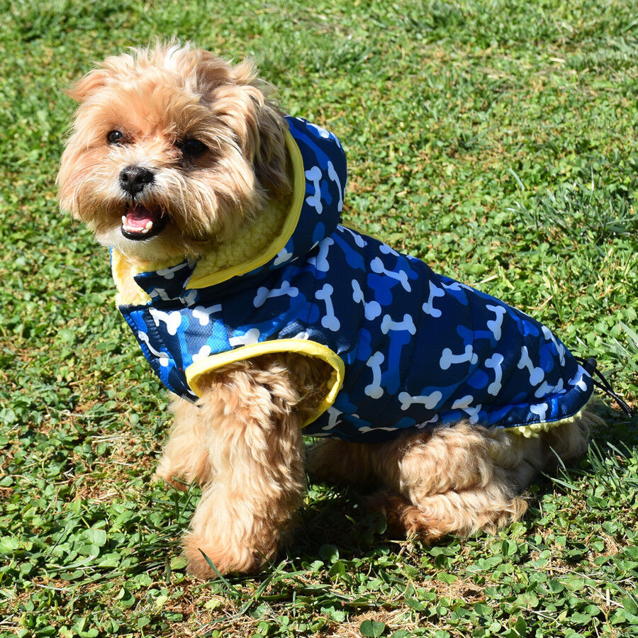 Nayeco Casaco Acolchado com Padr&atilde;o de Ossos Azul para c&atilde;es, , large Imagem n&uacute;mero 1