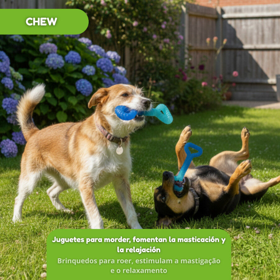 Tootoy! Chew Mordedor pegar e puxar para c&atilde;es, , large Imagem n&uacute;mero 5