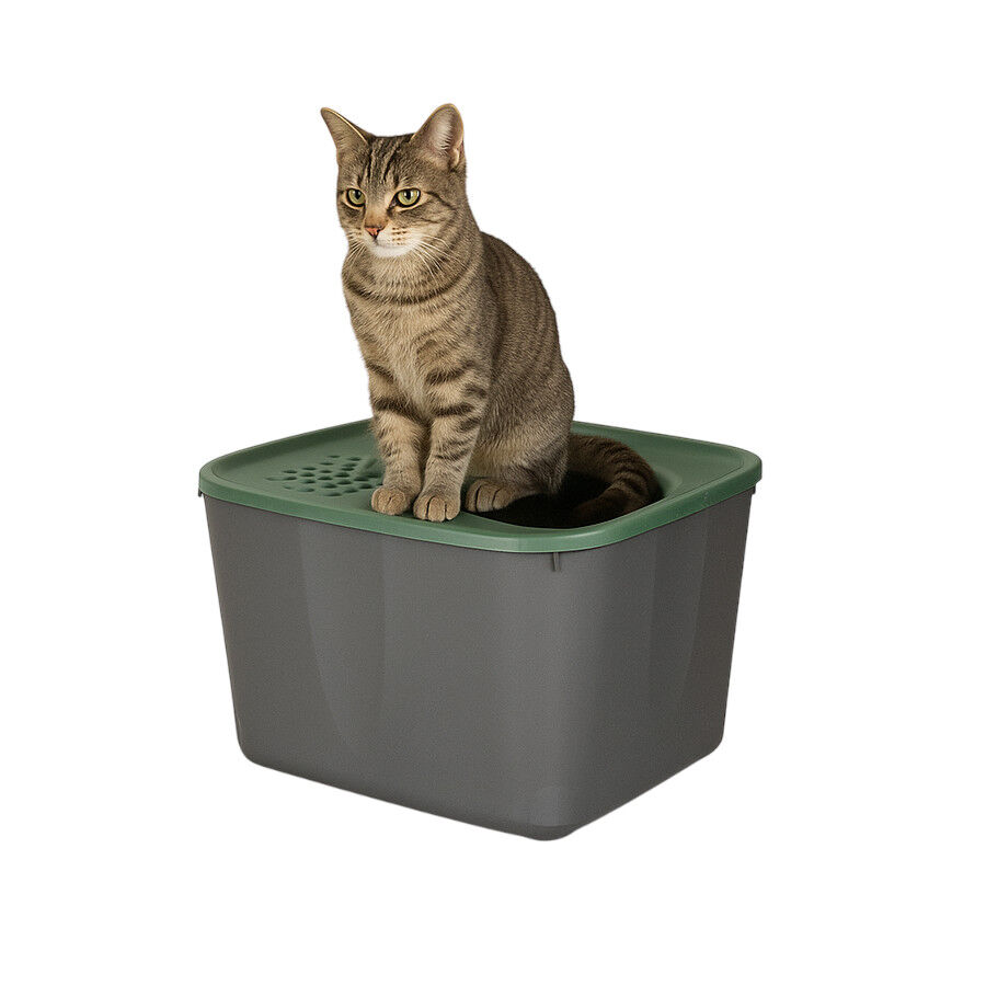 Nice Care Eco Caixa de areia Micia verde para gatos, , large Imagem n&uacute;mero 1