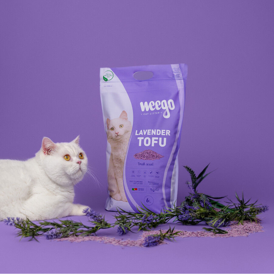 6 L Weego Lavender Tofu Arena aglomerante para gatos, , large Imagem n&uacute;mero 3