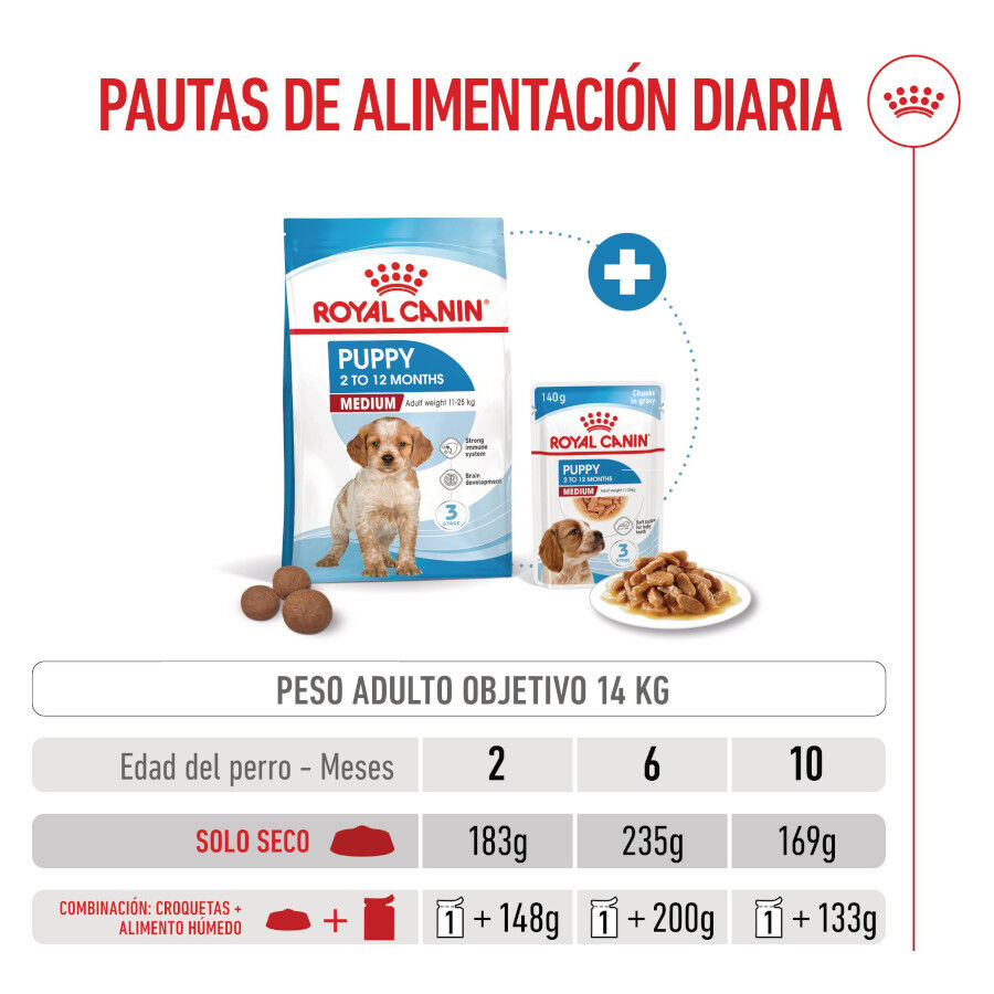 15 kg Royal Canin Puppy Medium ra&ccedil;&atilde;o para c&atilde;es, , large Imagem n&uacute;mero 7