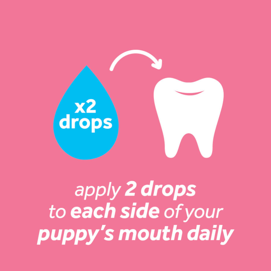 Tropiclean Gel Oral Fresco H&aacute;lito Menta para c&atilde;es, , large Imagem n&uacute;mero 2