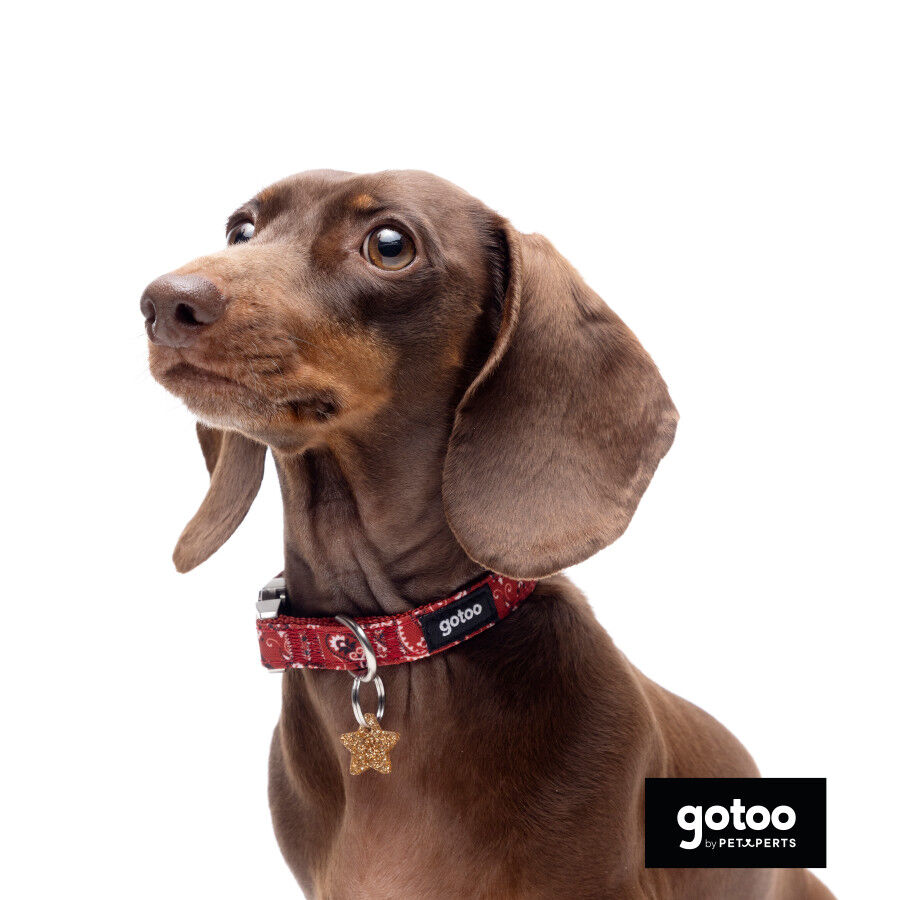 Gotoo Coleira estampada vermelha para c&atilde;es, , large Imagem n&uacute;mero 6