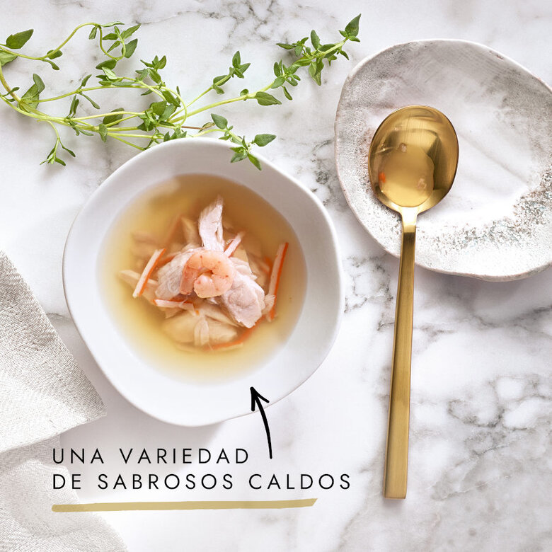 40 g Gourmet Nature's Creations Sopa de frango para gatos,  Imagem número 2 40 g Gourmet Nature's Creations Sopa de frango para gatos, , large Imagem número 2