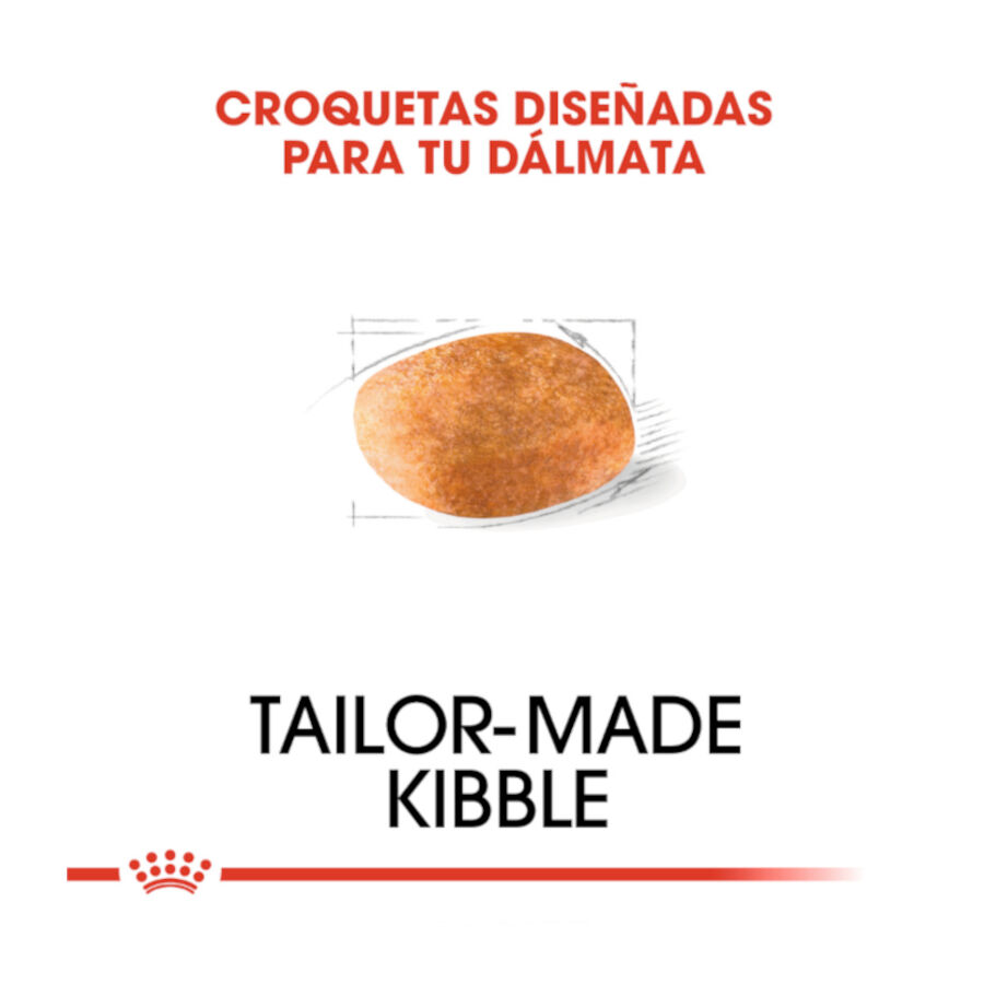 12 kg Royal Canin Adult D&aacute;lmata ra&ccedil;&atilde;o para c&atilde;es, , large Imagem n&uacute;mero 5