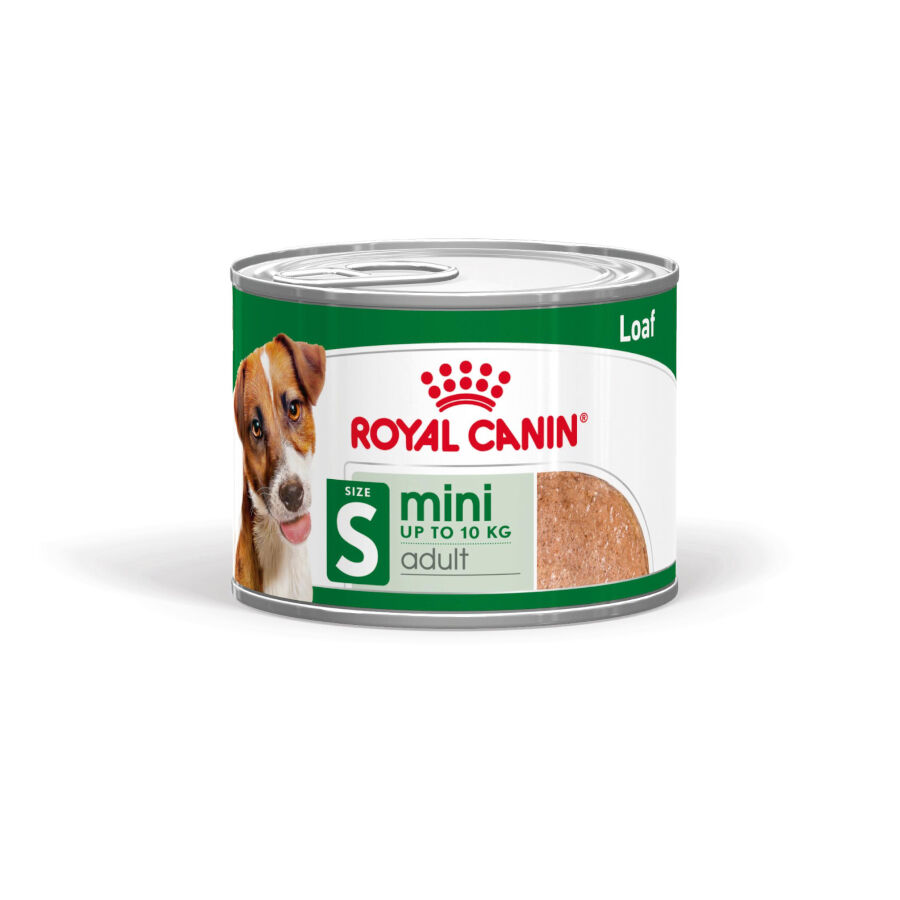 195 g Royal Canin Mini Adult Pat&acirc; em lata para c&atilde;es, , large Imagem n&uacute;mero 1