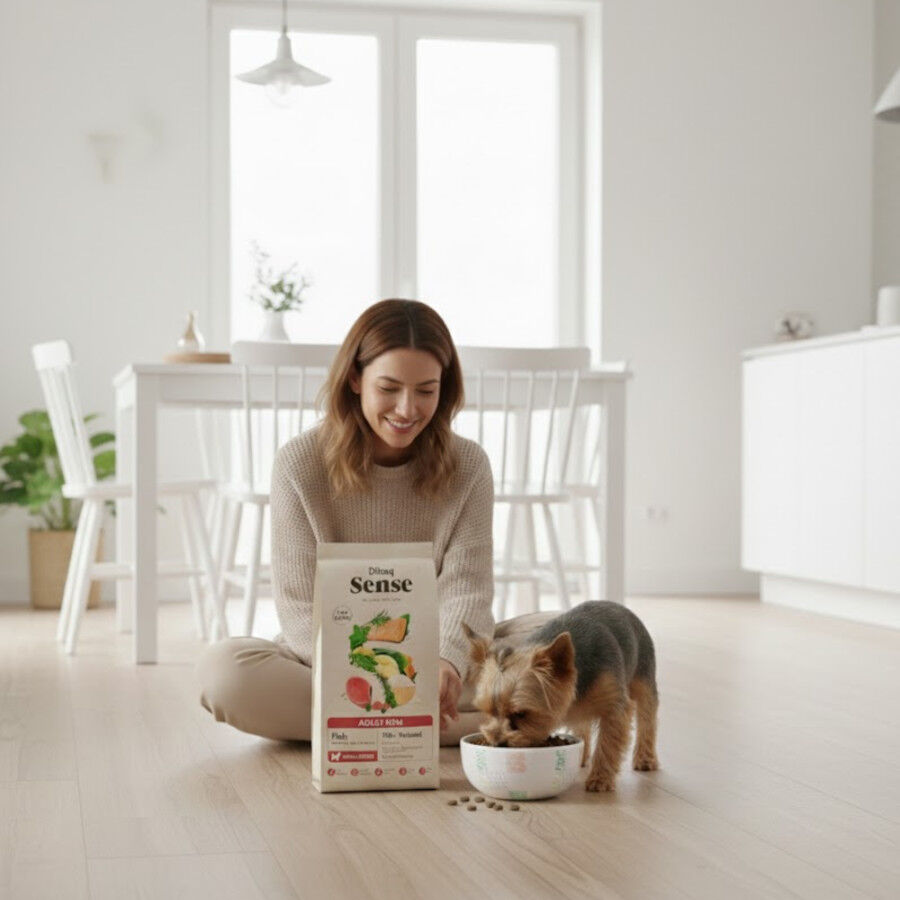 Dibaq Sense Low Grain Adult Mini Ra&ccedil;&atilde;o de Peixe para c&atilde;es, , large Imagem n&uacute;mero 4