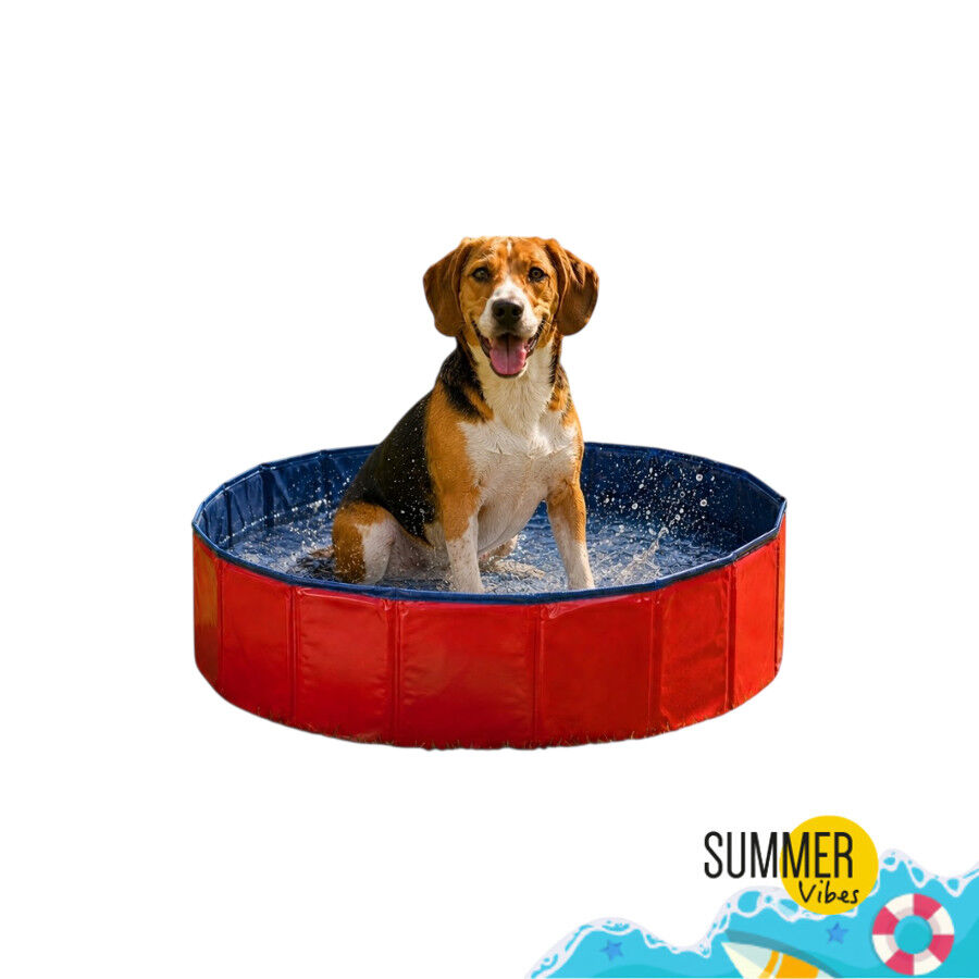 Summer Vibes Fresh Pool Piscina Vermelha para c&atilde;es, , large Imagem n&uacute;mero 7