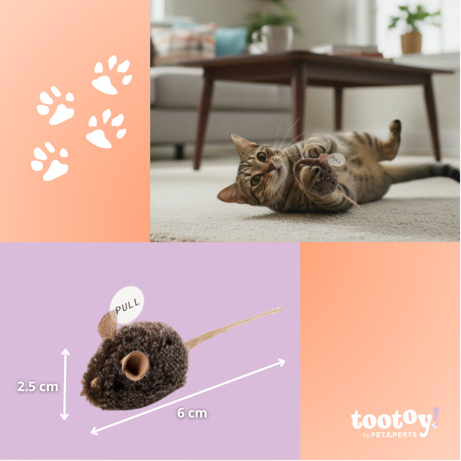 Tootoy! Comfort & Relax Rato interativo com som para gatos, , large Imagem n&uacute;mero 4