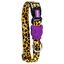 Zeedog Honey Coleira Multicolorida para cães, , large Indicador imagem número 1