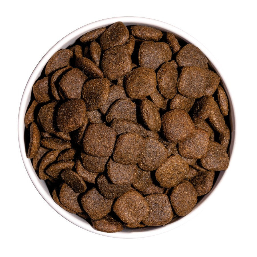 Ownat Maxi Junior Ultra Frango e Peru ra&ccedil;&atilde;o para cachorros, , large Imagem n&uacute;mero 3