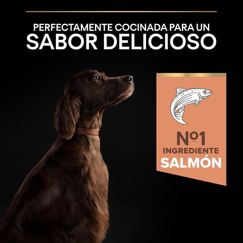 14 kg Pro Plan Large Athletic Adult Salmão Peles Sensíveis ração para cães,  Imagem número 7 14 kg Pro Plan Large Athletic Adult Salmão Peles Sensíveis ração para cães, , large Imagem número 7