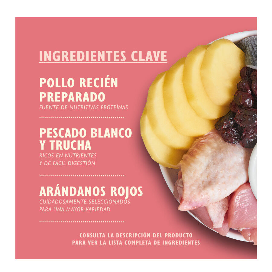 800 g Lily's Kitchen Kitten Frango ra&ccedil;&atilde;o para gatos, , large Imagem n&uacute;mero 2