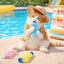 Summer Vibes Cat Spring x3 Brinquedos Interativos para gatos, , large Indicador imagem n&uacute;mero 1