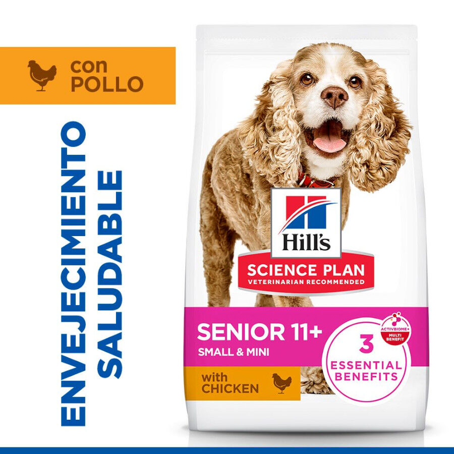 1.5 kg Hill's Small y Mini Senior Science Plan Frango ra&ccedil;&atilde;o para c&atilde;es, , large Imagem n&uacute;mero 2