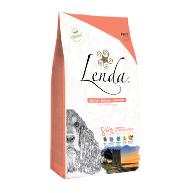 Lenda Original Salmão ração para cães