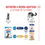 4 kg Royal Canin Puppy Maxi ra&ccedil;&atilde;o para c&atilde;es, , large Indicador imagem n&uacute;mero 8