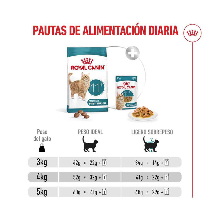 4 kg Royal Canin Ageing 11+ ra&ccedil;&atilde;o para gatos, , large Imagem n&uacute;mero 9