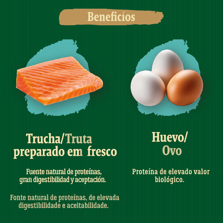 2 kg True Origins Wild Ocean River Salm&atilde;o e Truta ra&ccedil;&atilde;o para gatinhos, , large Imagem n&uacute;mero 5