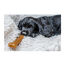 Nylabone Chew Frango Osso Mordedor para cachorros, , large Indicador imagem número 5