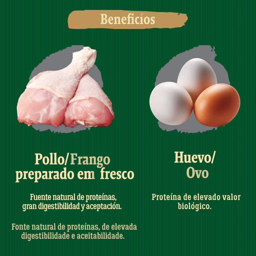 True Origins Wild Light ra&ccedil;&atilde;o de frango para c&atilde;es, , large Imagem n&uacute;mero 5