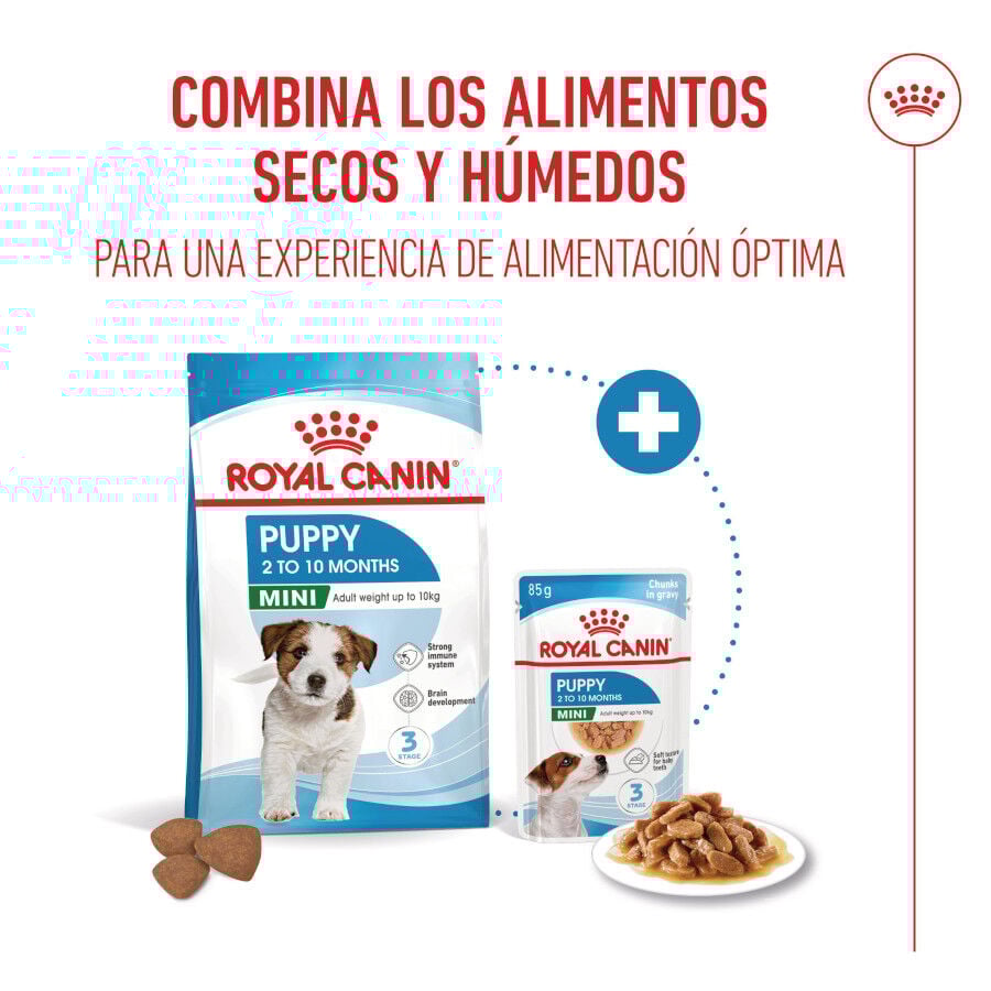 85 g Royal Canin Mini Puppy alimento h&uacute;mido em molho saquetas para c&atilde;es, , large Imagem n&uacute;mero 5