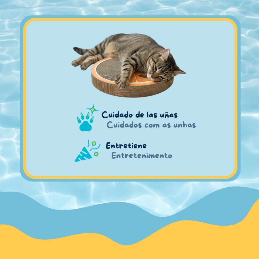 Summer Vibes Scratcher Orange Arranhador em Cart&atilde;o para gatos, , large Imagem n&uacute;mero 4