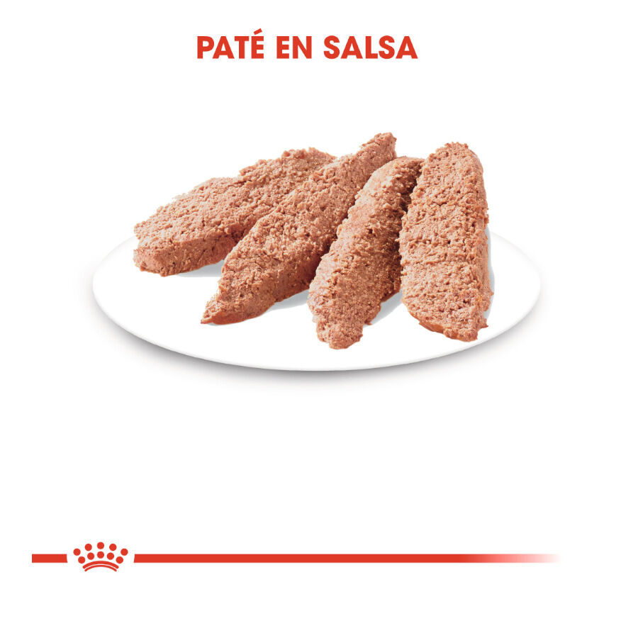 85 g Royal Canin Sterilised pat&ecirc; em saquetas para gatos, , large Imagem n&uacute;mero 4