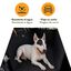 Outech X-perience Capa protetora para carro para c&atilde;es, , large Indicador imagem n&uacute;mero 5