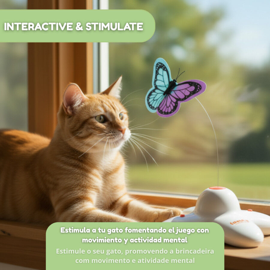 Tootoy! Interactive & Stimulate Brinquedo interativo para gatos, , large Imagem n&uacute;mero 7