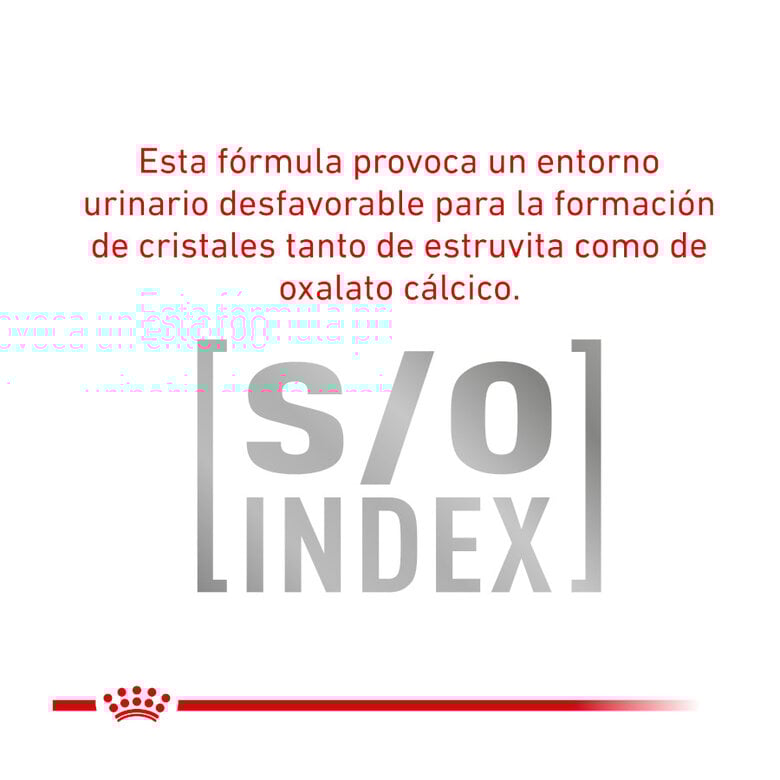7 kg Royal Canin Veterinary Urinary ração para gatos,  Imagem número 6 7 kg Royal Canin Veterinary Urinary ração para gatos, , large Imagem número 6