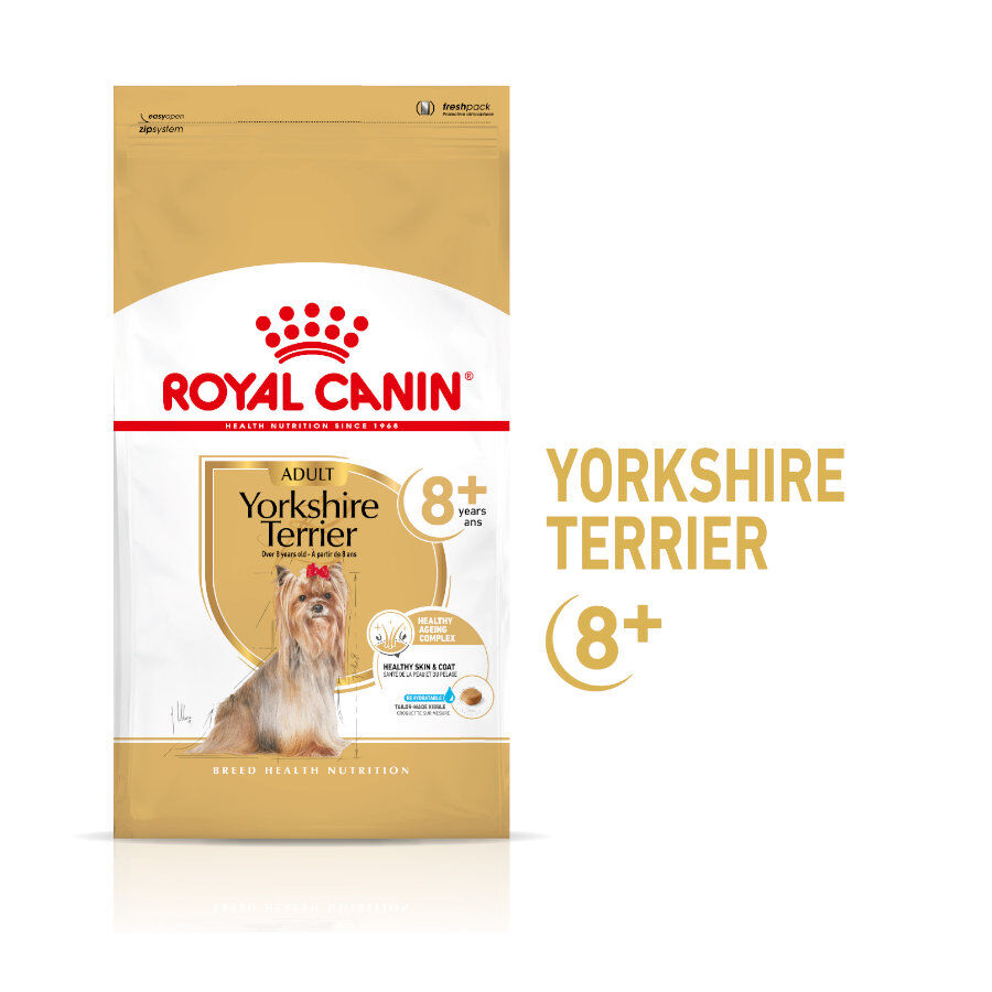 1.5 kg Royal Canin Adult 8+ Yorkshire ra&ccedil;&atilde;o para c&atilde;es, , large Imagem n&uacute;mero 1