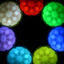 Nite Ize Glowstreak Disc-O LED Peluche para cães, , large Indicador imagem número 3