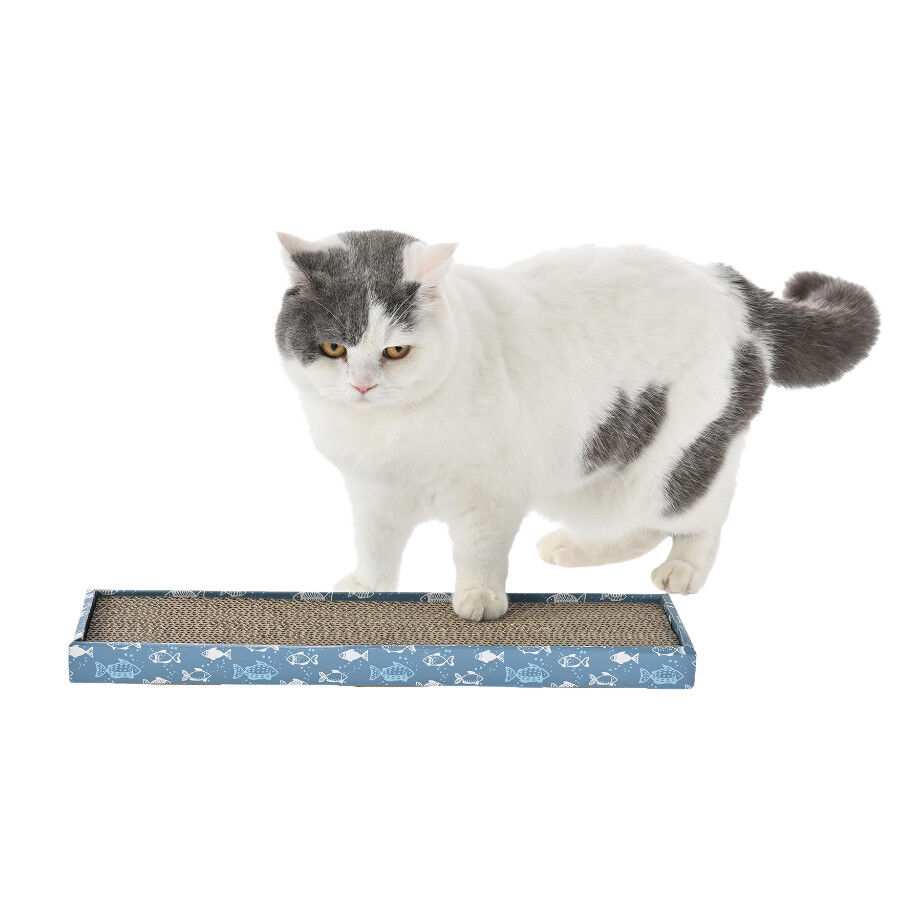 Leeby Fitz t&aacute;bua arranhadora de cart&atilde;o azul para gatos, , large Imagem n&uacute;mero 10