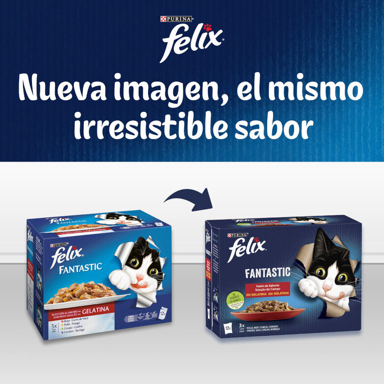 24 saquetas x 85 g Felix Seleção de carnes em gelatina,  Imagem número 8 24 saquetas x 85 g Felix Seleção de carnes em gelatina, , large Imagem número 8