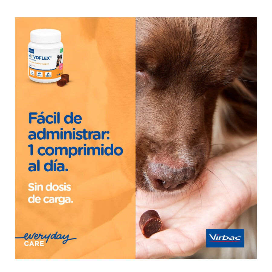 Virbac Movoflex Condroprotetor para c&atilde;es de porte m&eacute;dio, , large Imagem n&uacute;mero 4