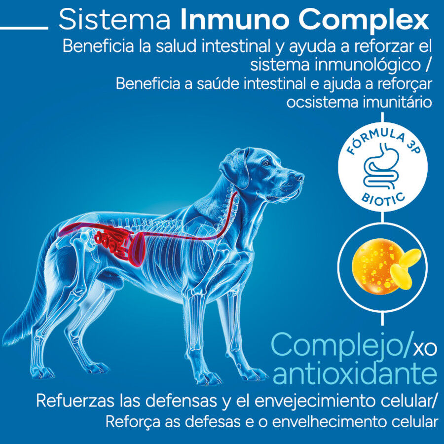 Criadores Cient&iacute;fico Adulto Maxi Ra&ccedil;&atilde;o de frango para c&atilde;es, , large Imagem n&uacute;mero 3