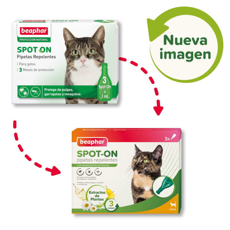 Beaphar Pipetas Repelentes para gatos, , large Imagem n&uacute;mero 2