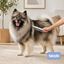 Bloob Pente de Dupla Fileira para c&atilde;es, , large Indicador imagem n&uacute;mero 2