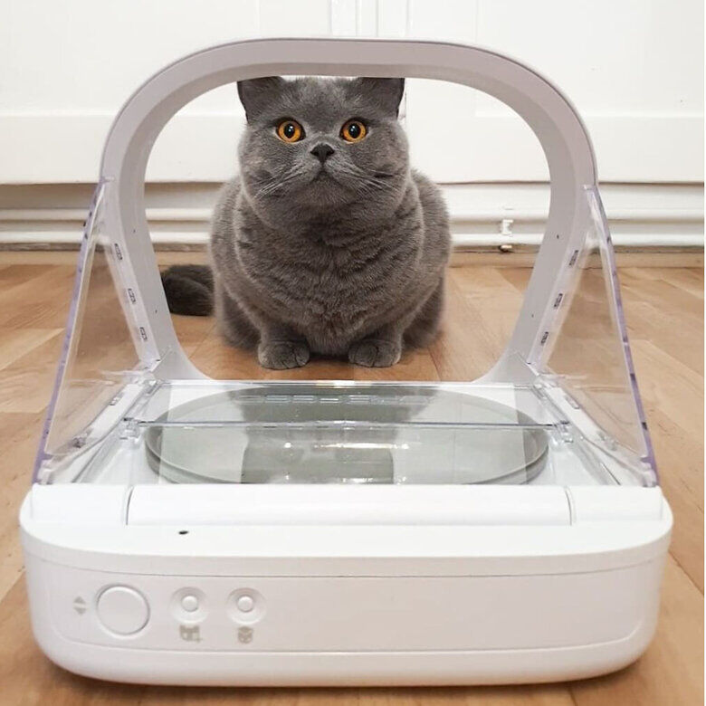 Sure Petcare Surefeed Comedouro Autom&aacute;tico com Microchip, , large Imagem n&uacute;mero 7